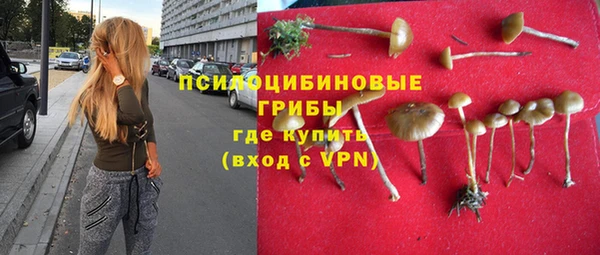 apvp Беломорск