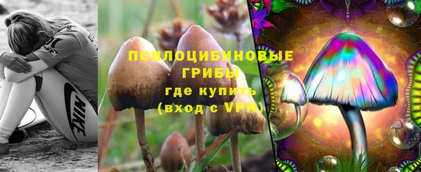 экстази Белокуриха