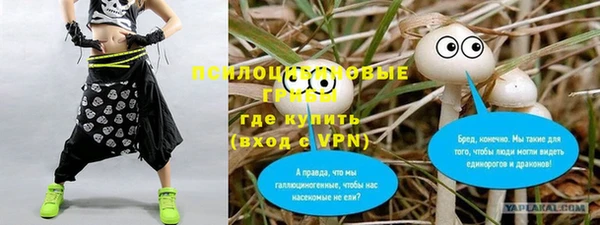 экстази Белокуриха