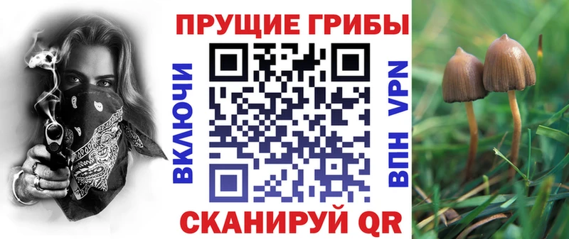 Псилоцибиновые грибы MAGIC MUSHROOMS  blacksprut как войти  Фёдоровский 