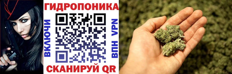 где найти наркотики  omg как зайти  Конопля AK-47  Фёдоровский 